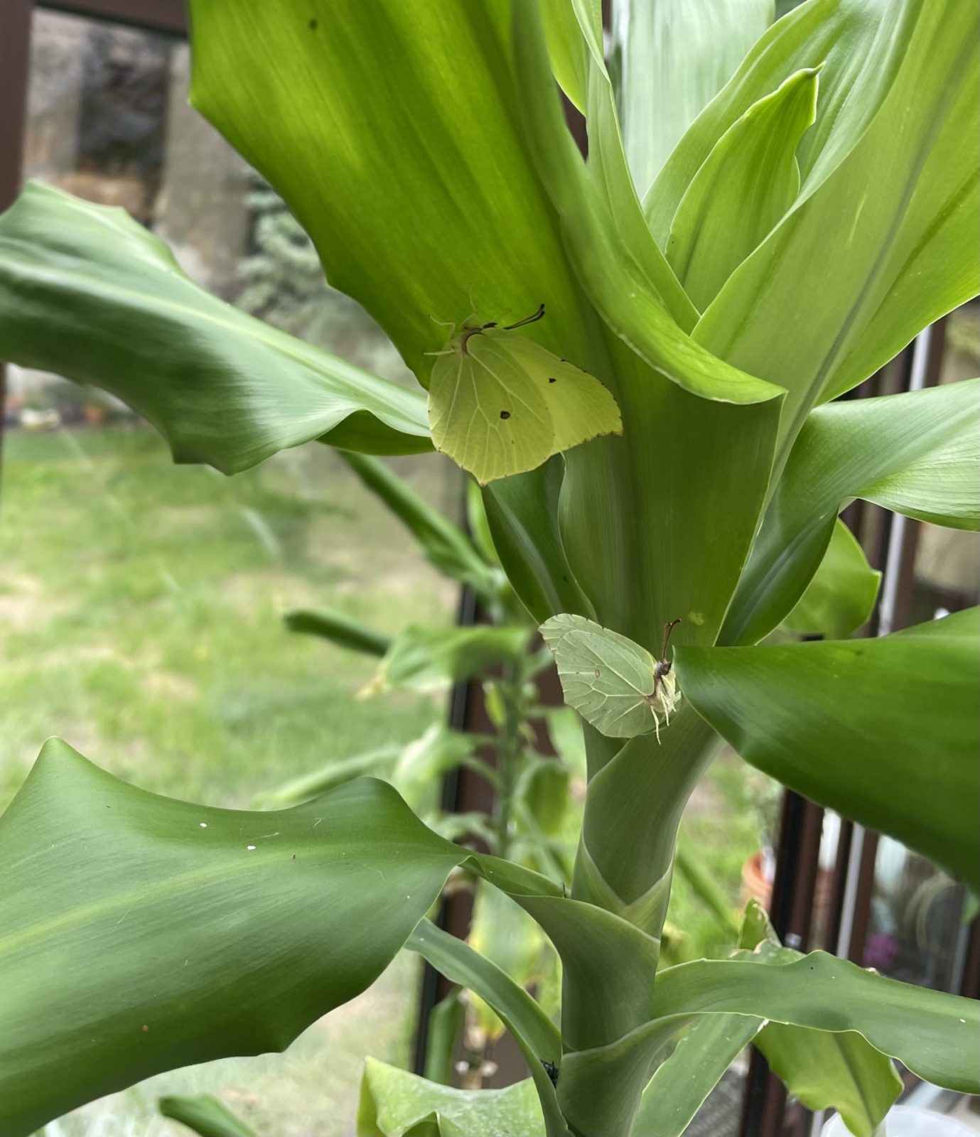 3C12627F-BAB6-406F-8FC9-E328FA050488