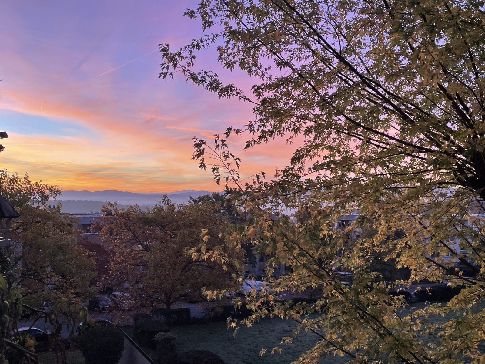 3C51C725-FC31-43F7-87F4-DD961AB43952