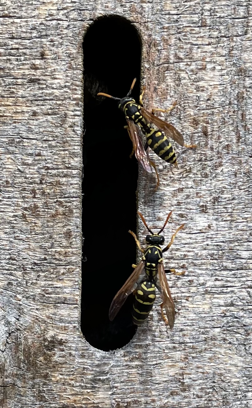 3C5EC11B-8F7E-43E8-A954-AF25B2F3263A