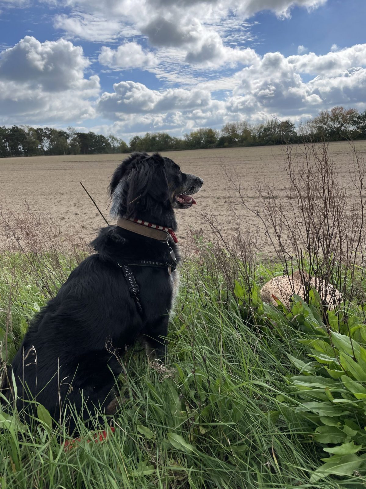 3C6312DD-AACD-4333-9945-C951120E5CCD