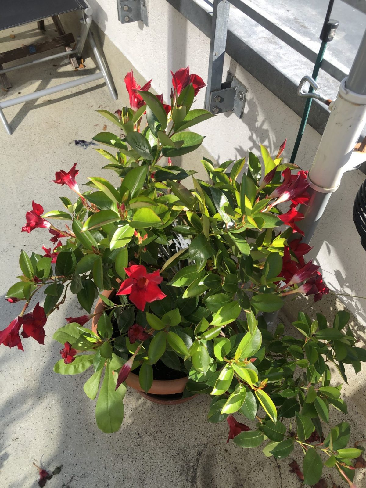 3C65ECFD-FD91-48E4-8026-90237E85C7F5