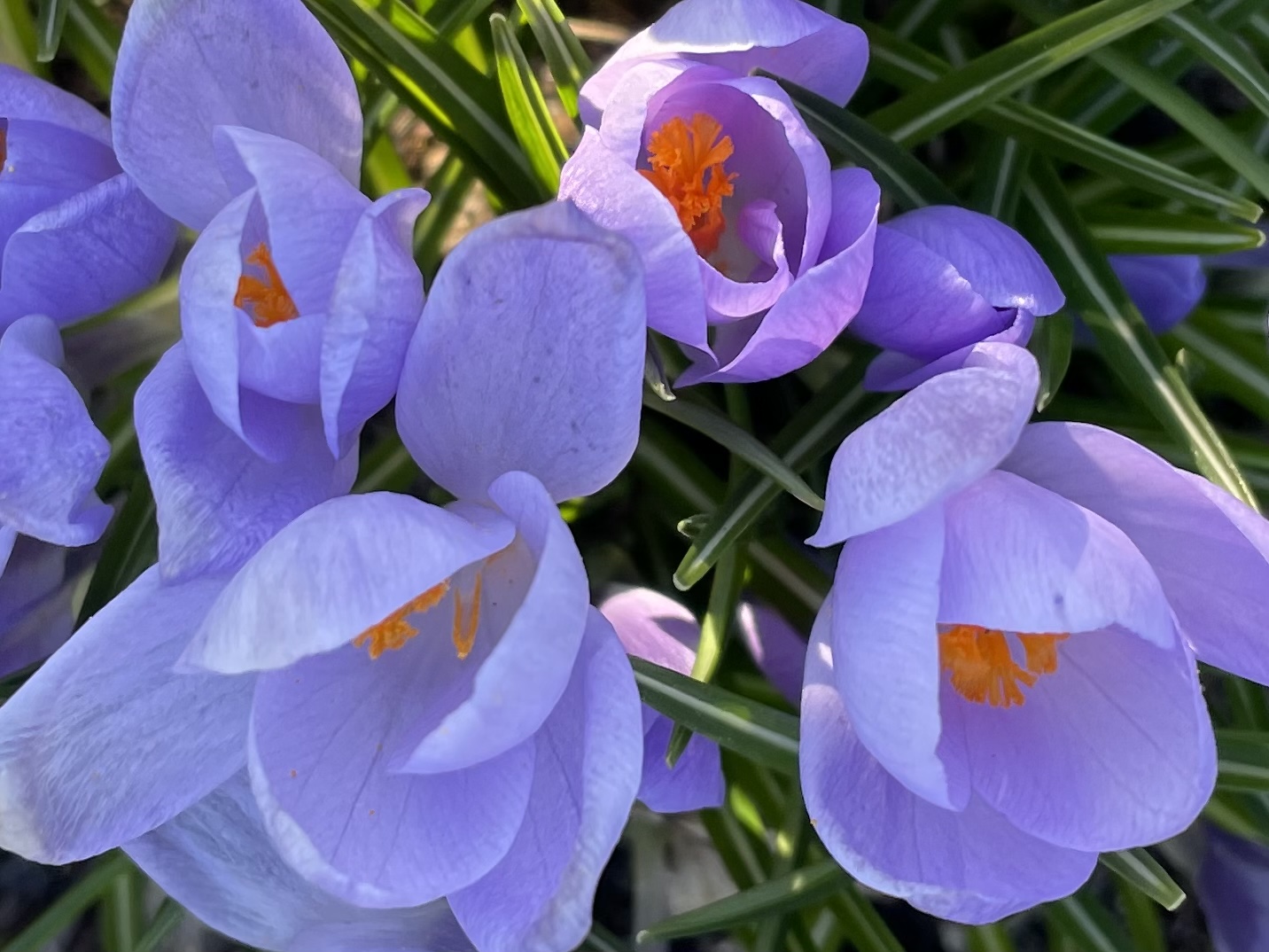 3CA3BD90-A72D-4130-B678-433757C1A361