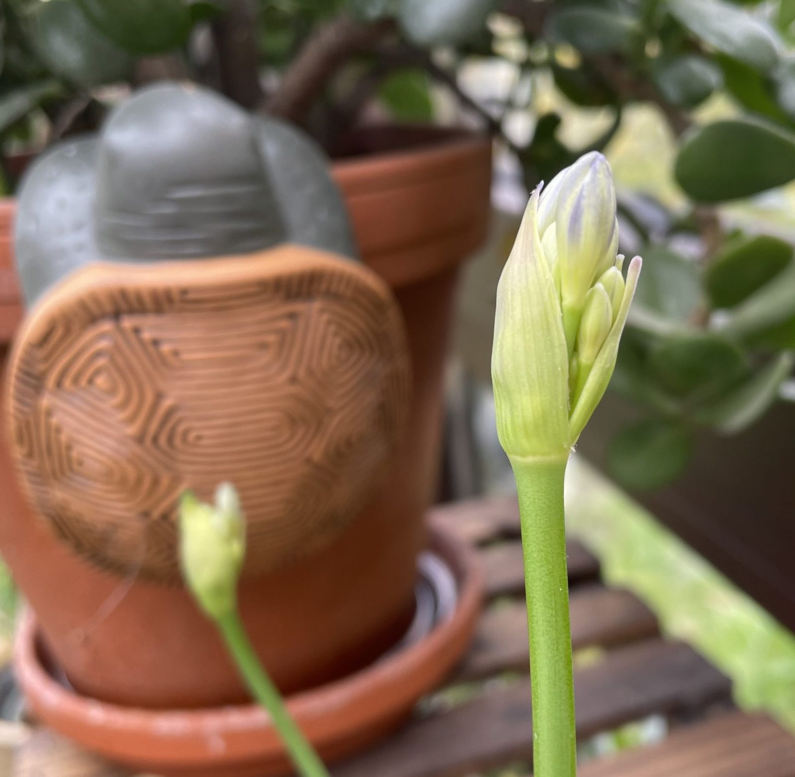 3CCD8070-69FA-4284-BFBF-BE706235057F