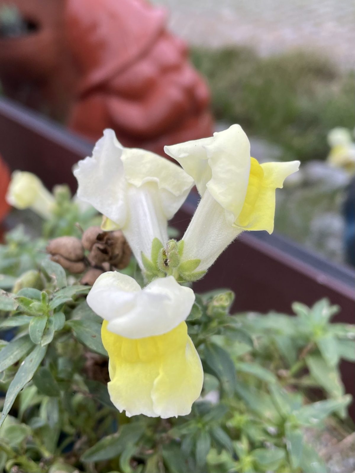 3D234B8E-137D-4121-B751-0E8C591B12C8