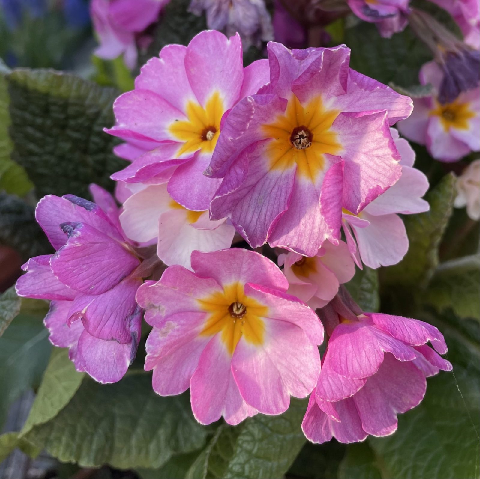 3D4308FD-8ED8-45EF-92DC-CBD51DF6F803