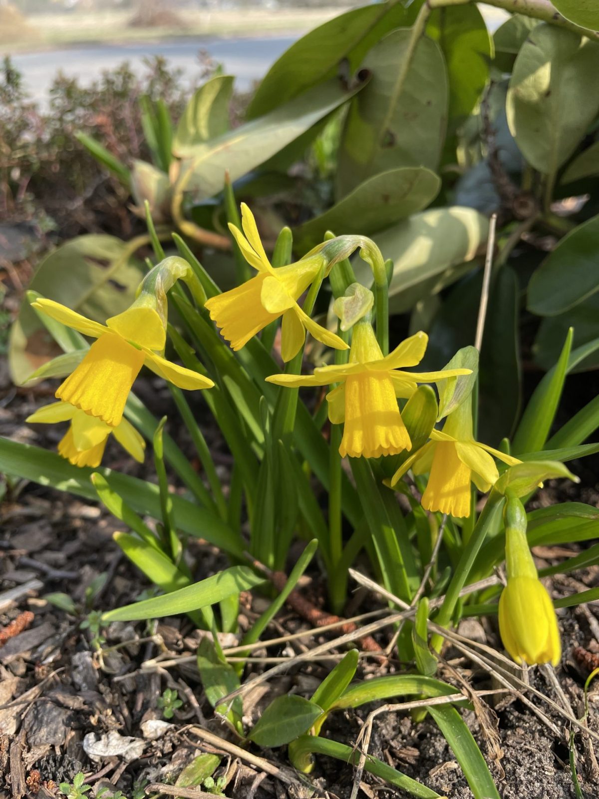 3D91F080-EEB1-4DA7-A723-E344CCFEC9F9