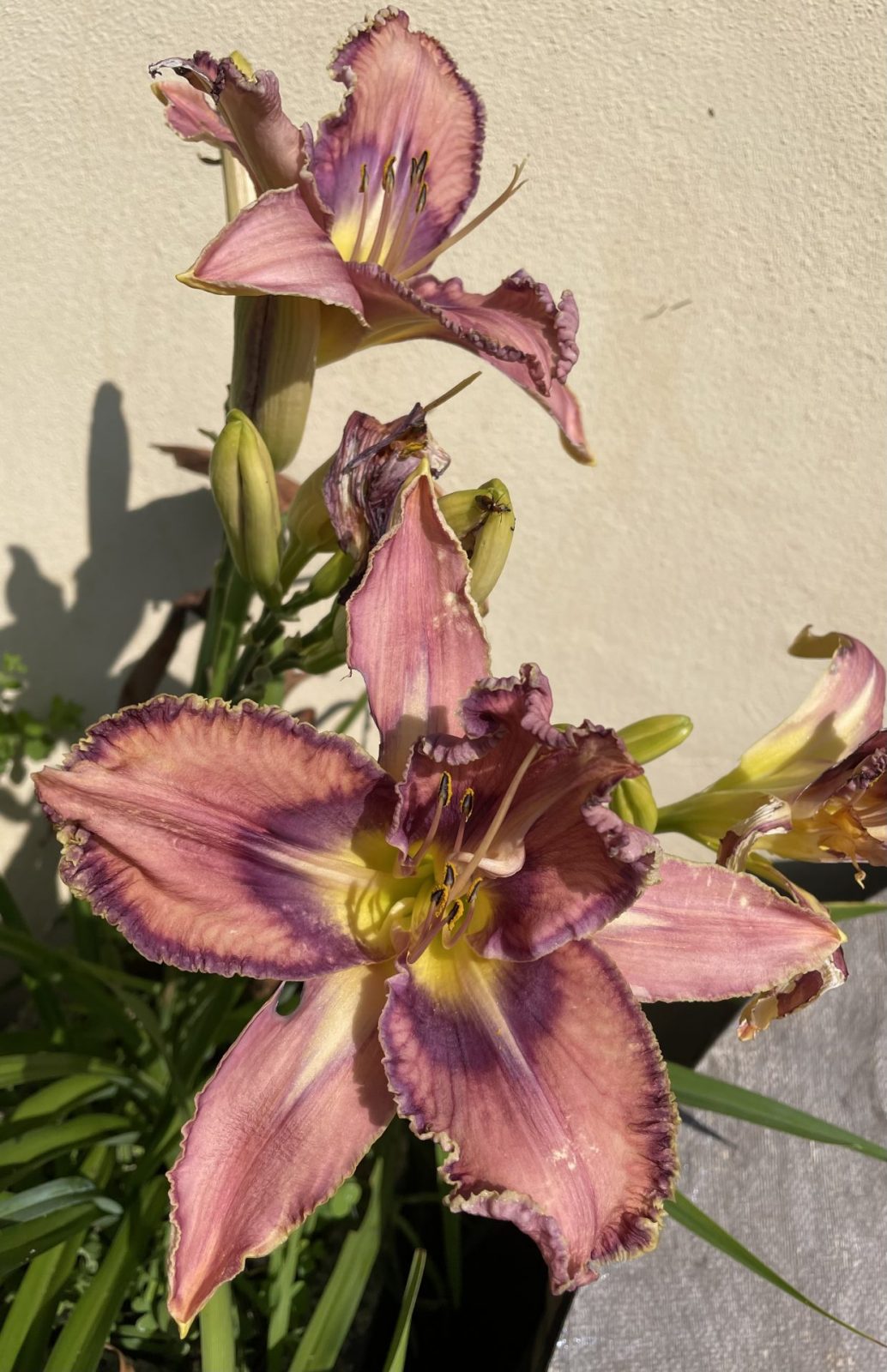 3DA89382-E5BE-4DFA-869A-4C888047BF35