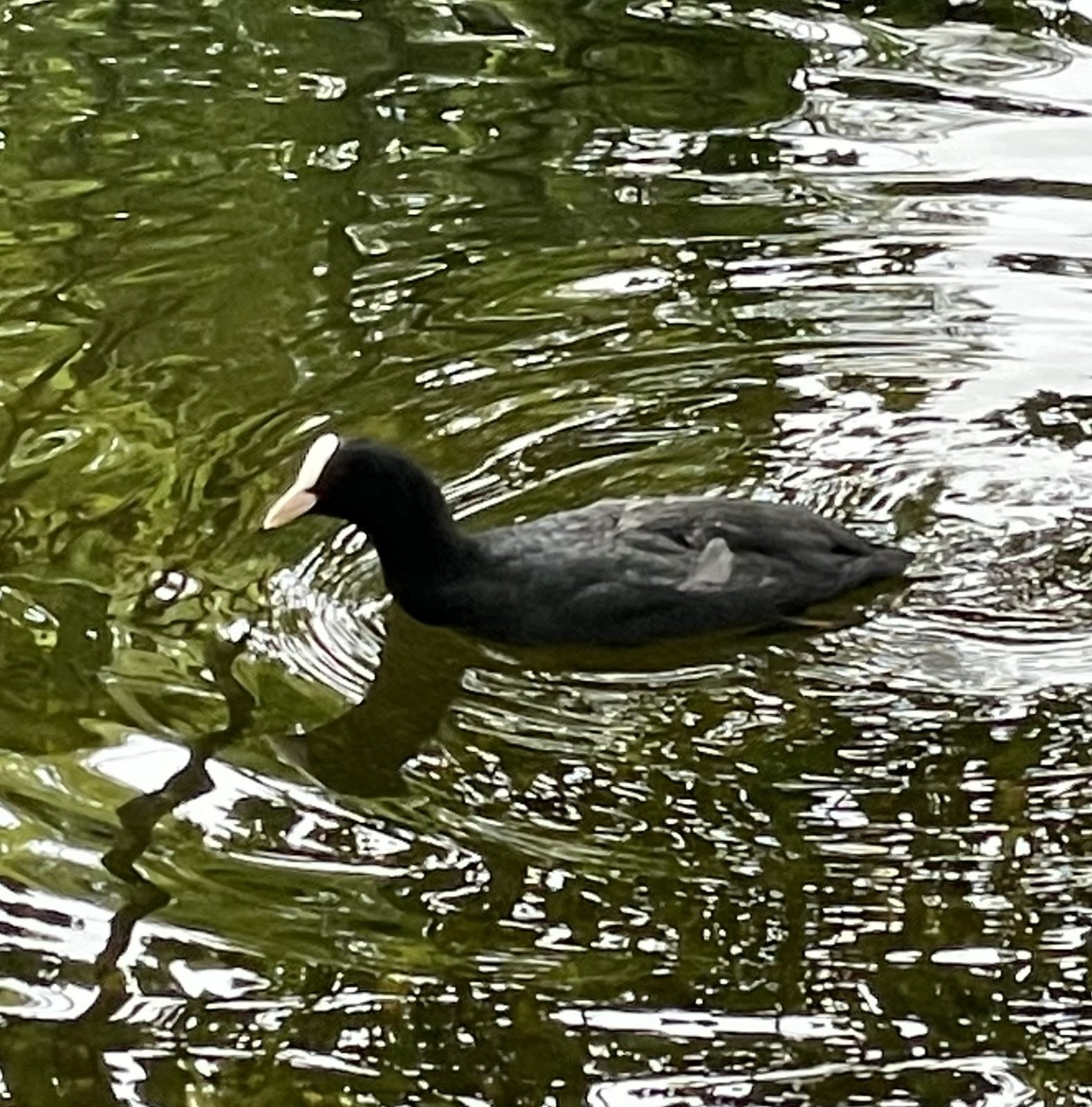 3E1B3369-3414-4BDB-BC8B-C5D595EA67C2