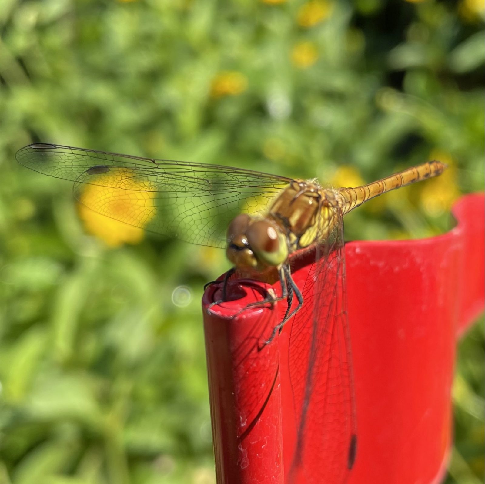 3E621260-AE55-4C30-BB4A-F9B282276A87