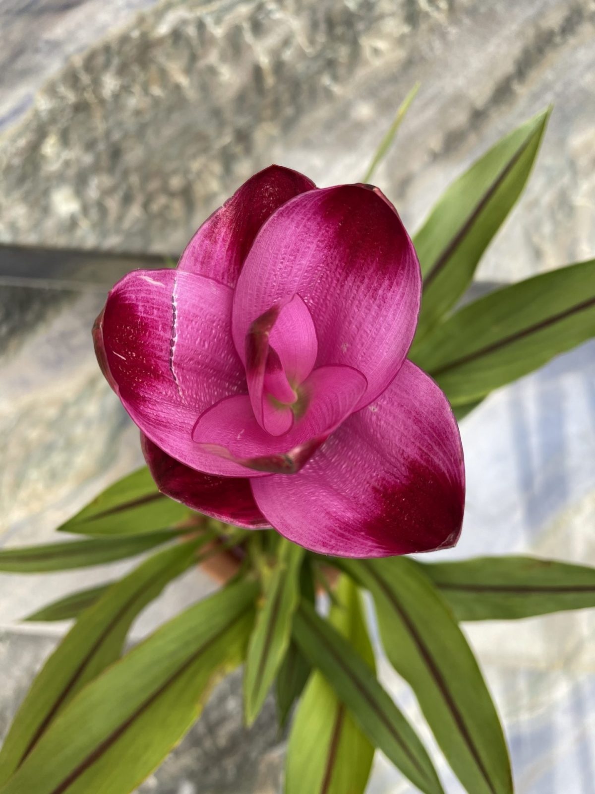 3E8F344E-EDA5-46B5-8ECA-47C073EF3FEA