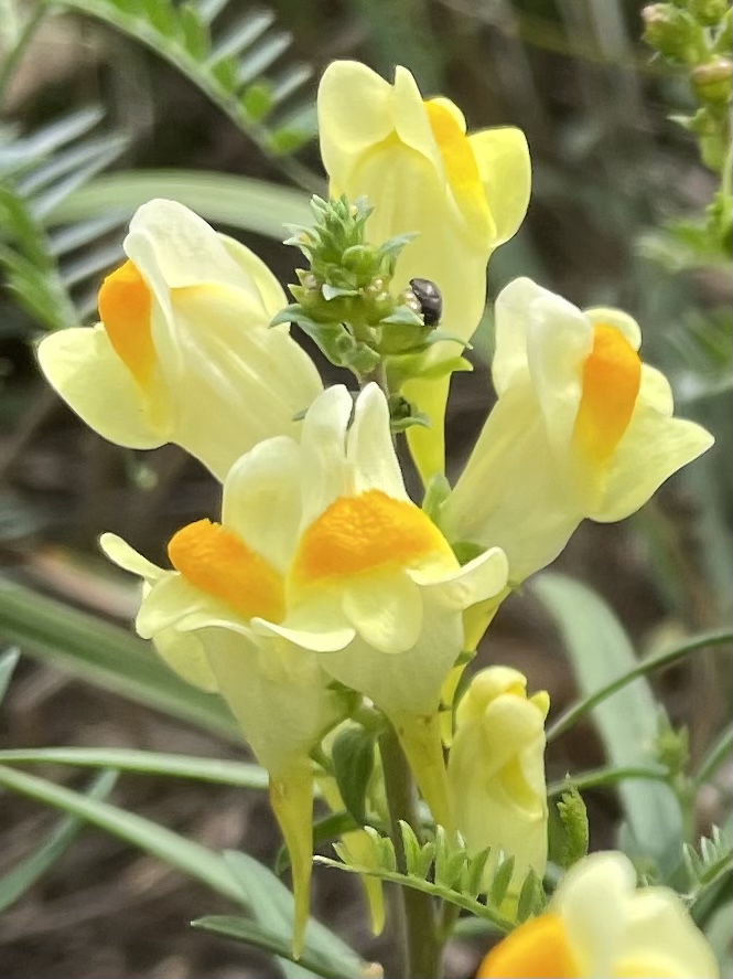 3E92A65A-3F7E-41CB-8FE0-8A1BC9B62E67