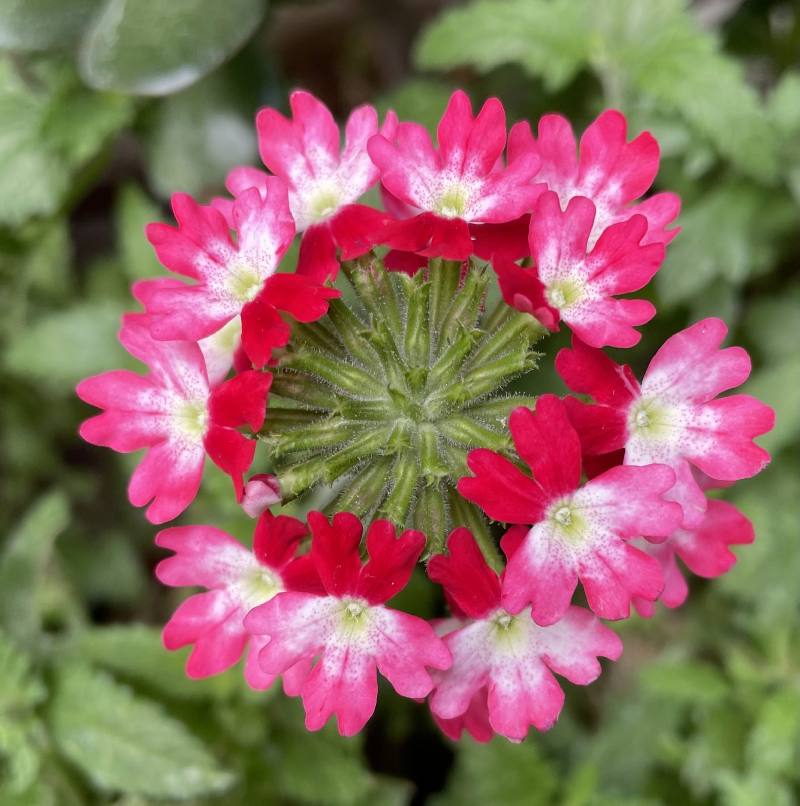 3F1A58E1-723D-4230-8133-696705AFA045