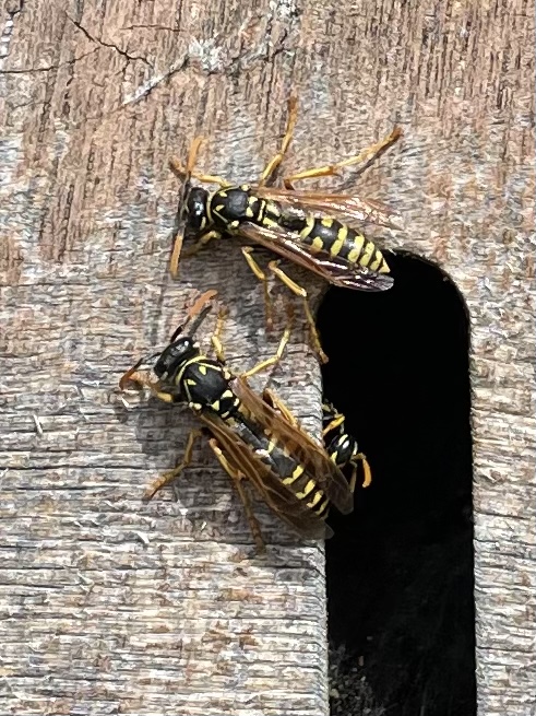 3F28DD83-05ED-4D33-9AD1-F119A19DA778