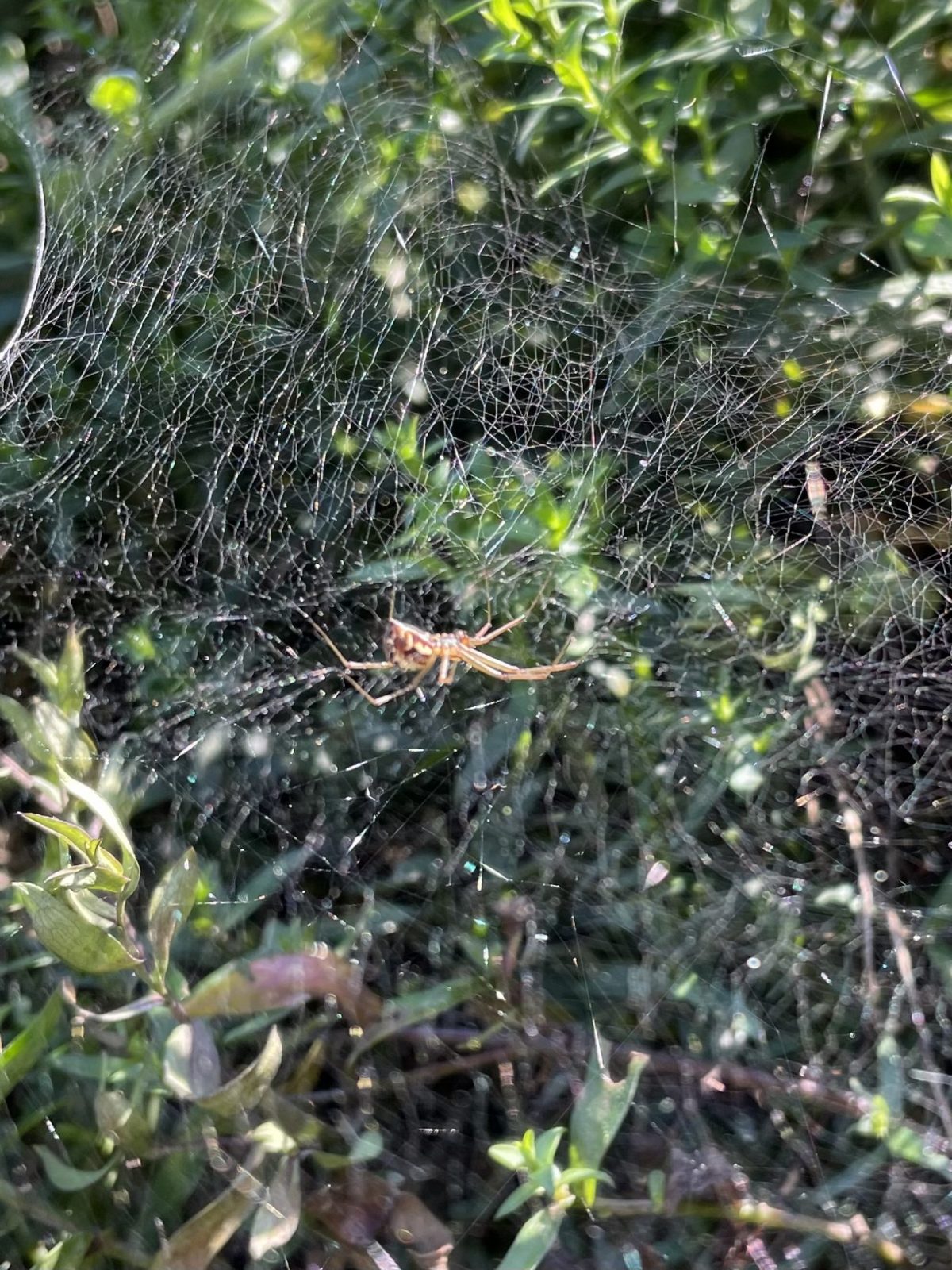 3F4C9F0C-59A2-4CA6-A5BC-87B06BCF8500