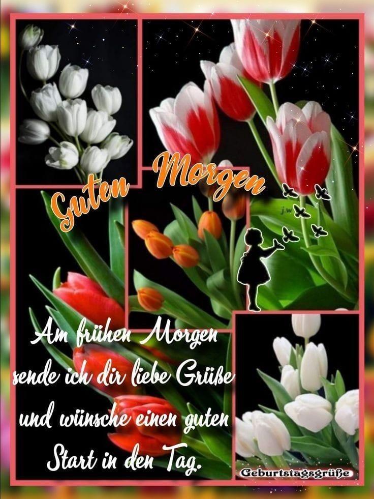 3a2be9d2-1386-44a3-9e64-6b6fcb4df4c6