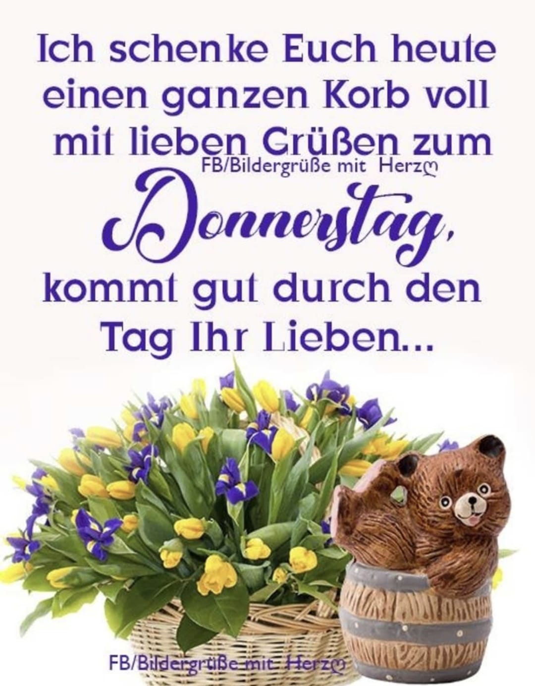 3cf69d49-b641-4c4c-a4ae-ce7377248e1d