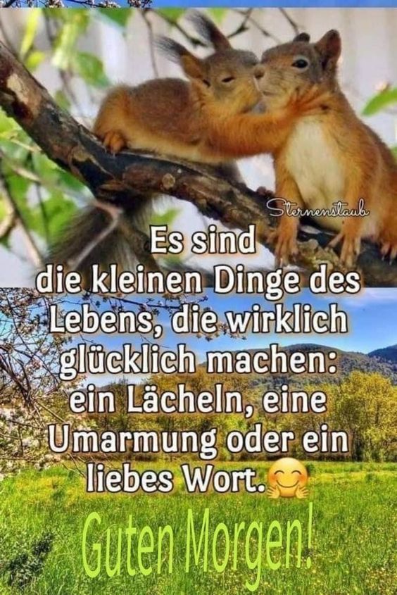 3fe760cf-03e5-425c-9bf2-d3e6853fab8d