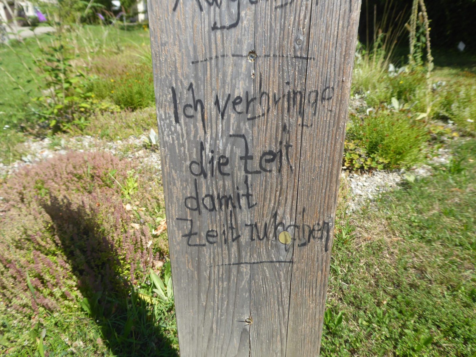 4.8.2022 E. Irina 9Uhr30 Schlossgarten (182)