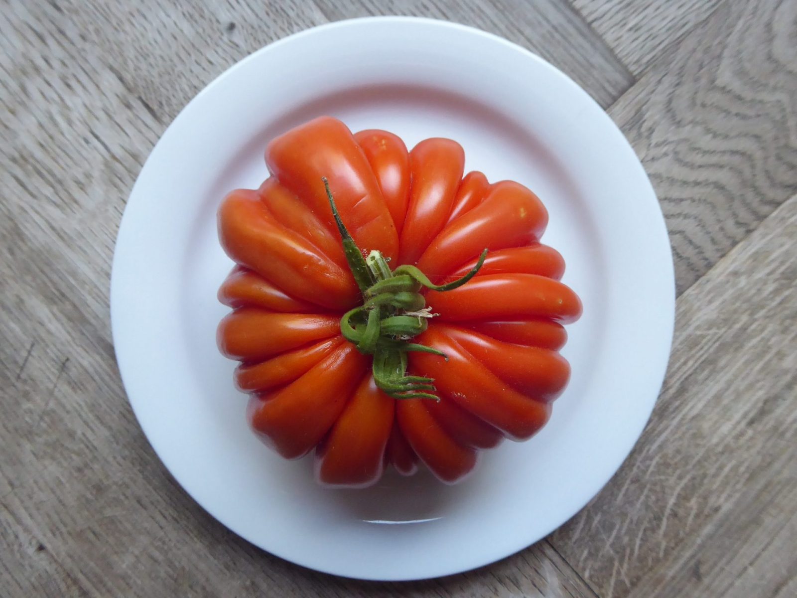 4.8.2022 Riesentomate von Sigi (15)