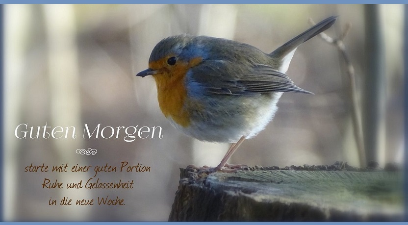 4036526728810_0jsrE9gfA6eOSB