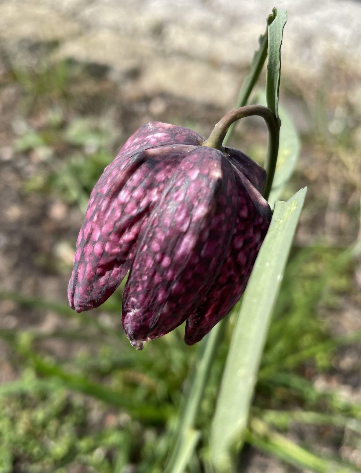 40382CD5-5C9A-49F9-B456-82262A4D2E03