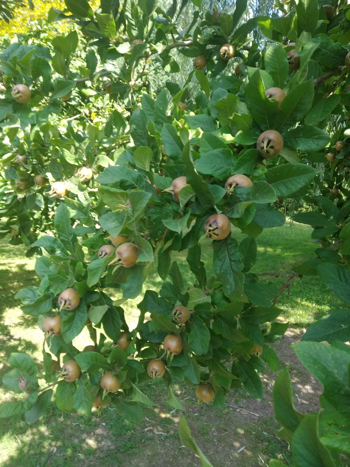 407EBEF1-DFFC-42E7-9112-2B79328BD5EE