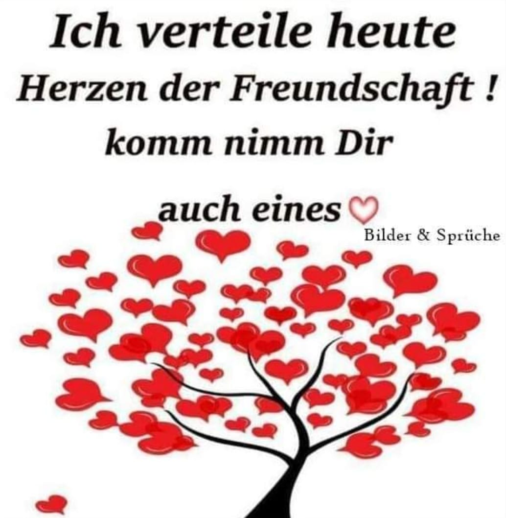 408867079_443888431297471_2668574827816668475_n