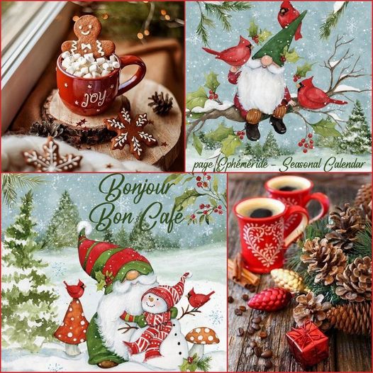 410969311_787992386696399_3331960451923430631_n