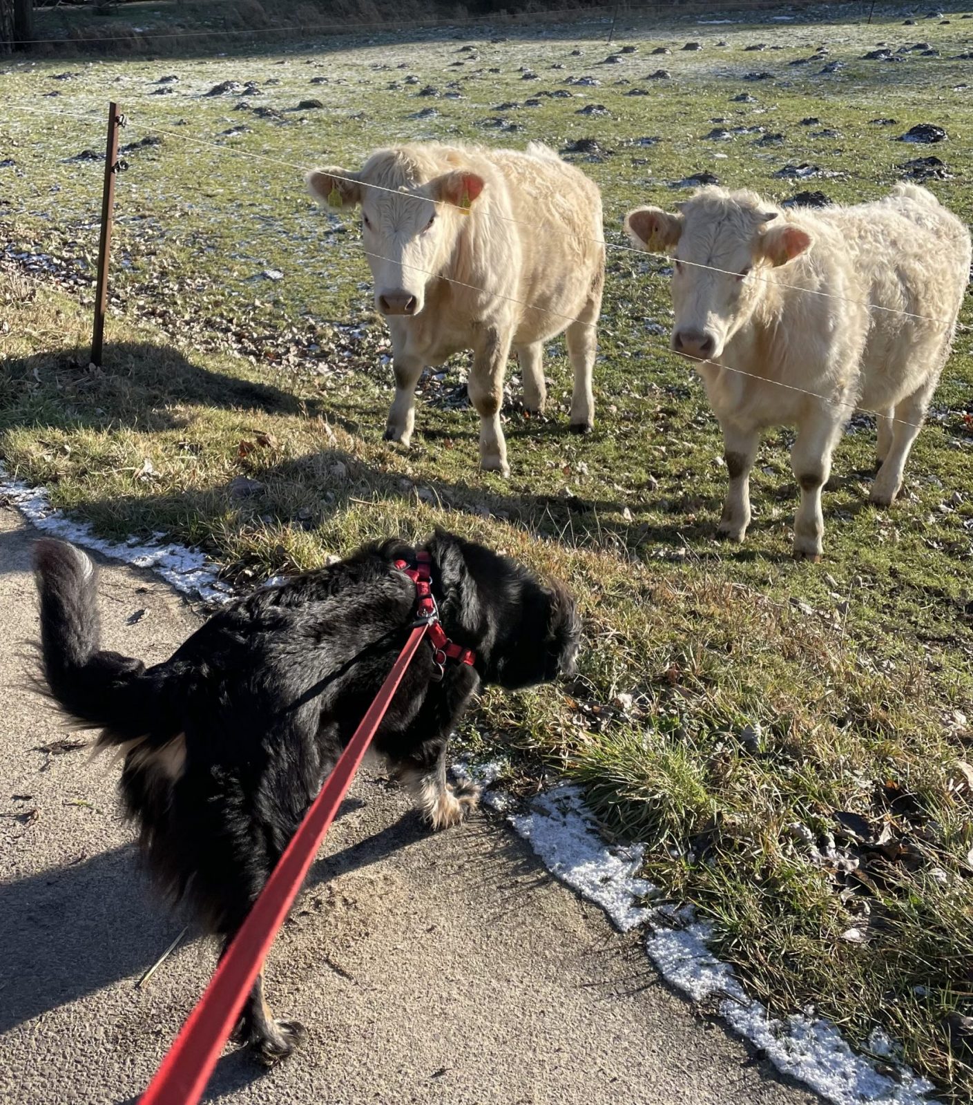 41215AD0-B452-41A7-B906-17B342297FF1