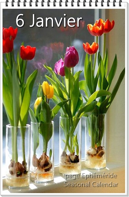 414489182_797971419031829_27777592053226790_n