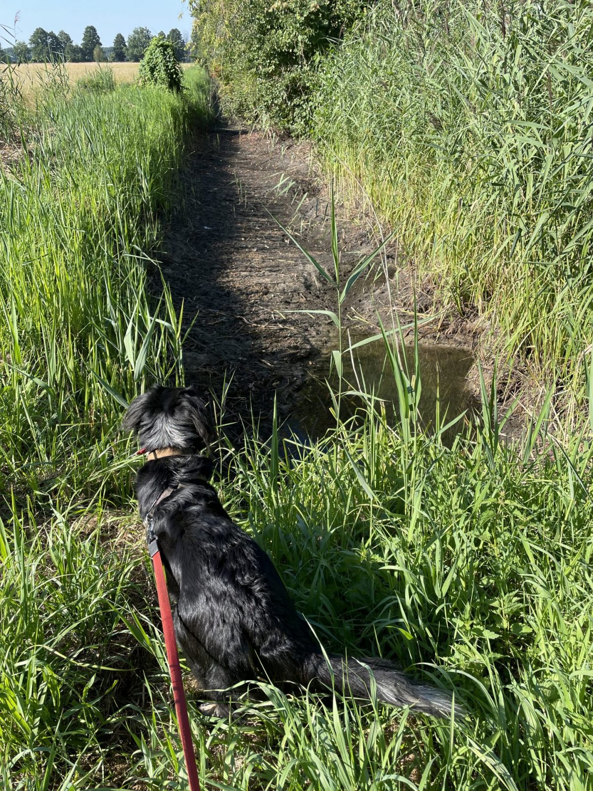 4148E0C6-F05D-4ECC-90BB-C619E0AA5F4C