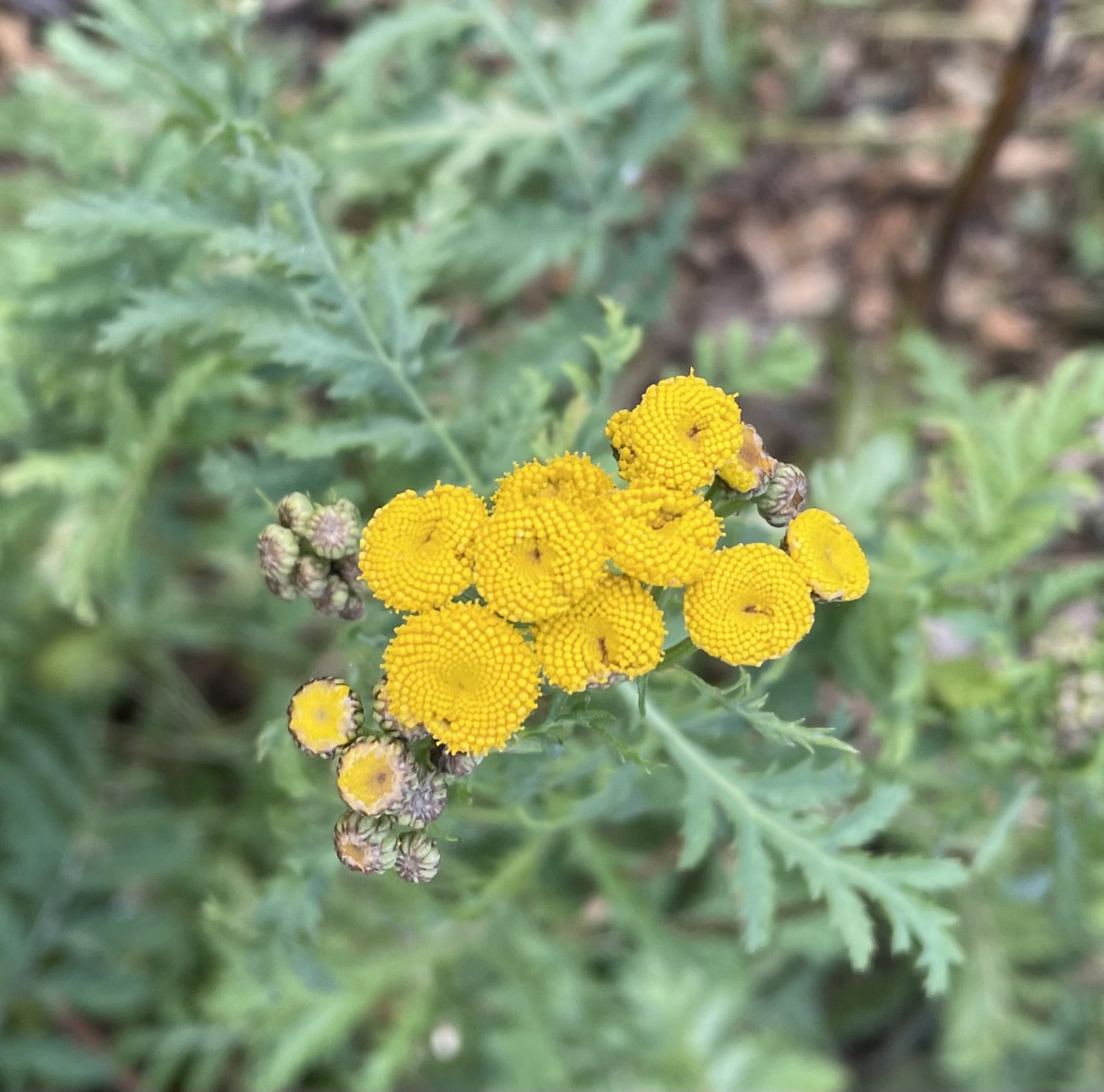 4171FBF5-9909-4200-9D60-FF6359A30861