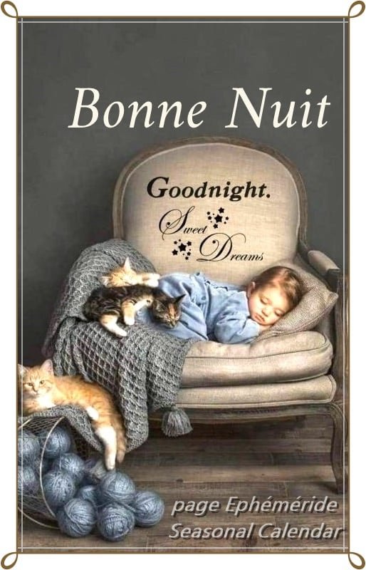 417439273_825833312912306_8730672381422713591_n