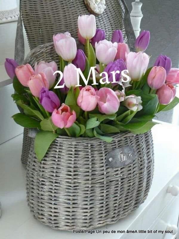 417471182_754675983391955_6654610811638598002_n