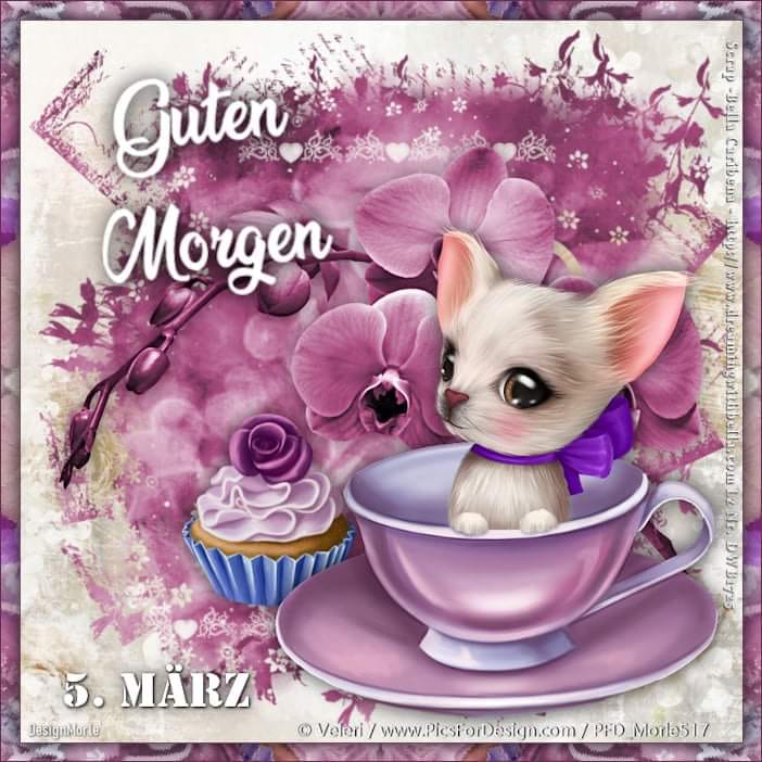 417474901_7283084261783086_6951872747470204236_n (1)