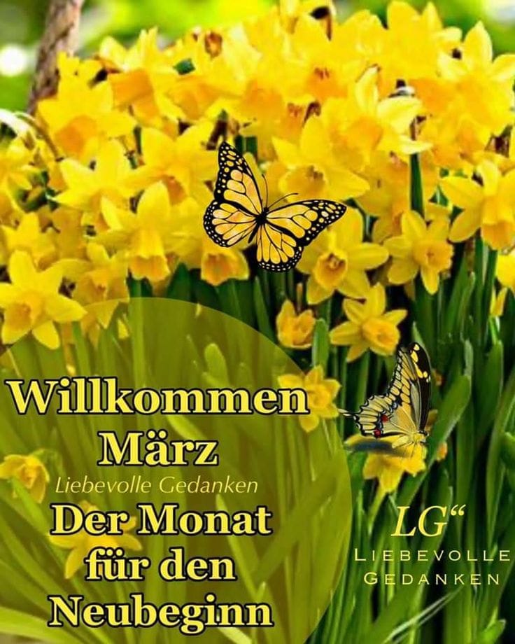 417509120_122146765748075063_1734642769919244437_n