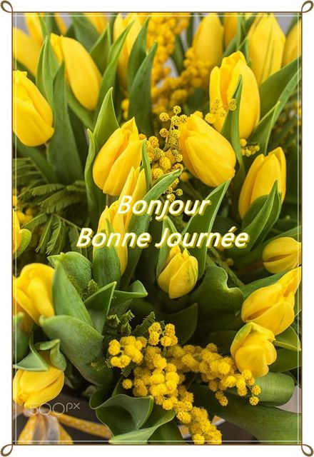 417517812_833188995510071_7974995220048283231_n