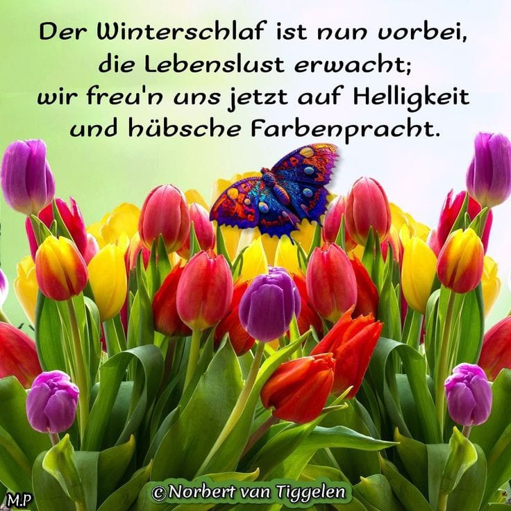 417539788_426420866735085_8573055068758028203_n