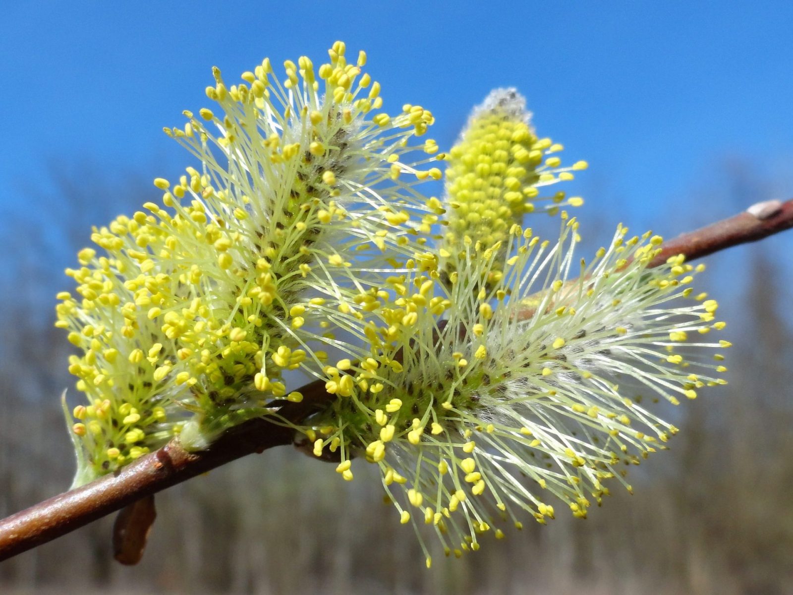 417545097_803537631817772_6255609202954999599_n