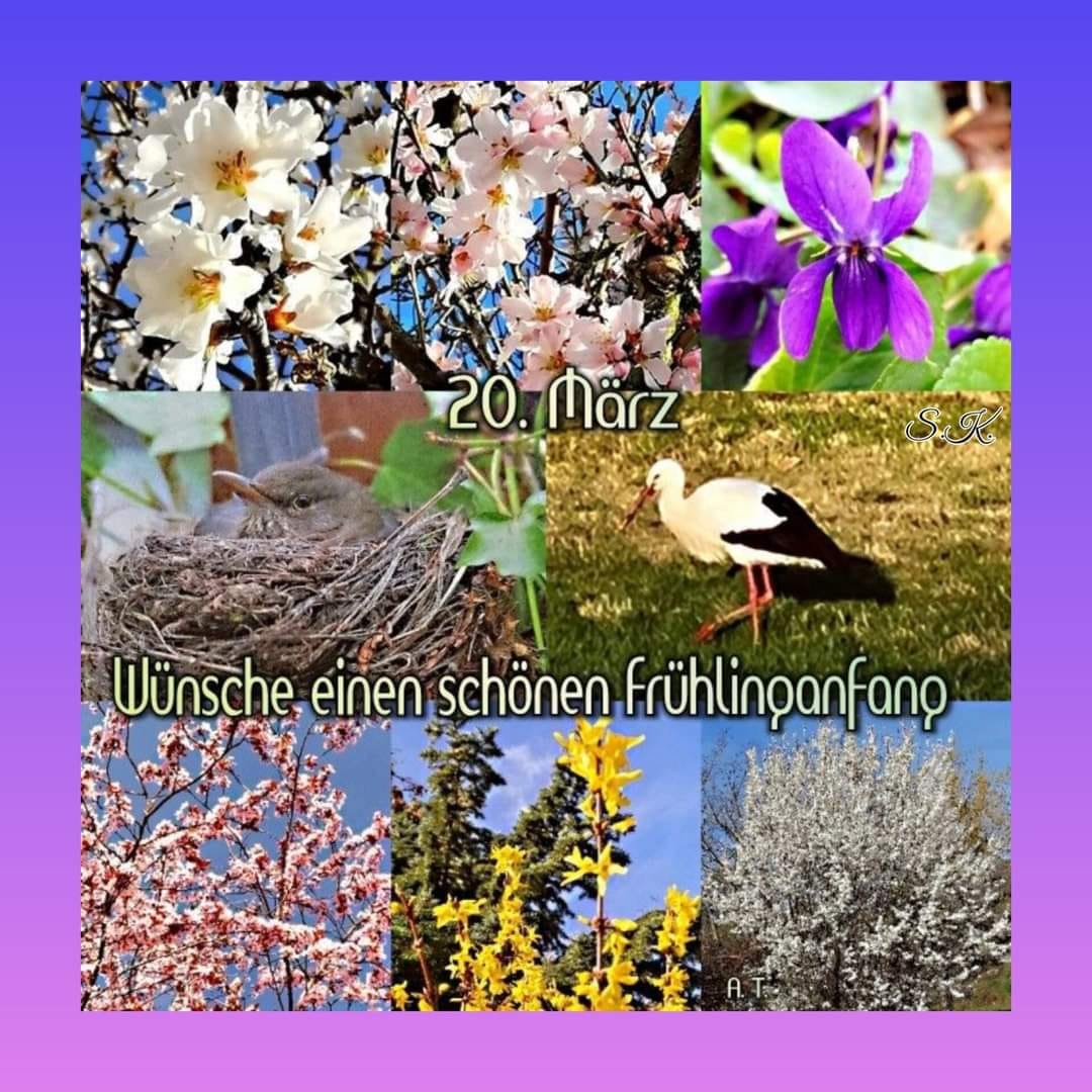 417690093_1541852139997171_8513310607324744100_n