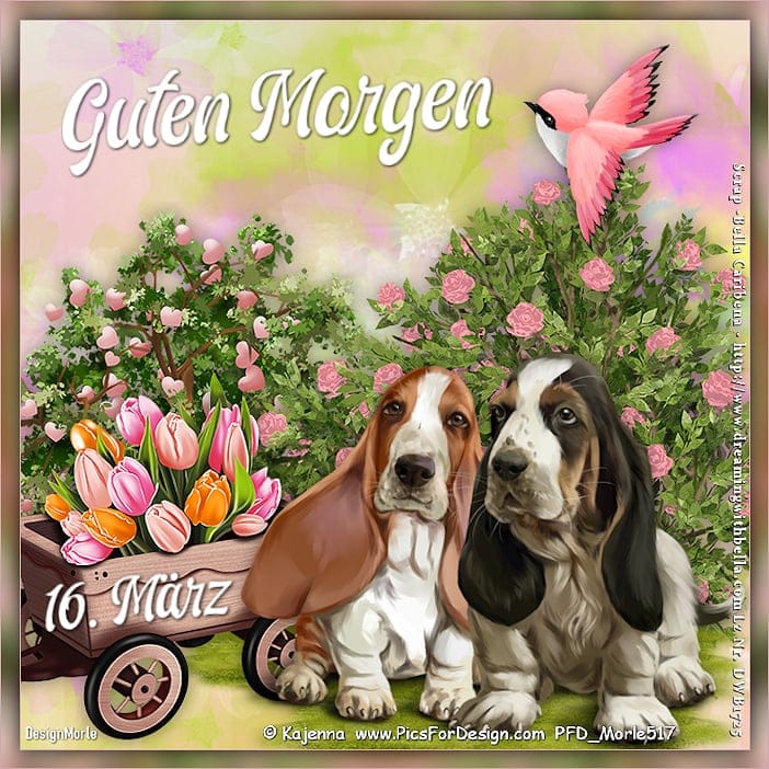 418159344_7326071184151060_6052377759200693705_n (1)