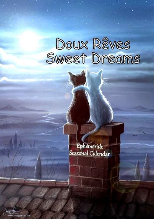 419303631_833190522176585_7463961021192064022_n