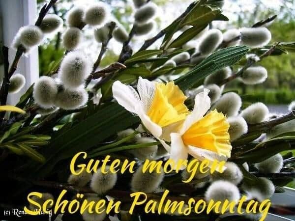 419743702_1869968060175186_3464762999942824616_n