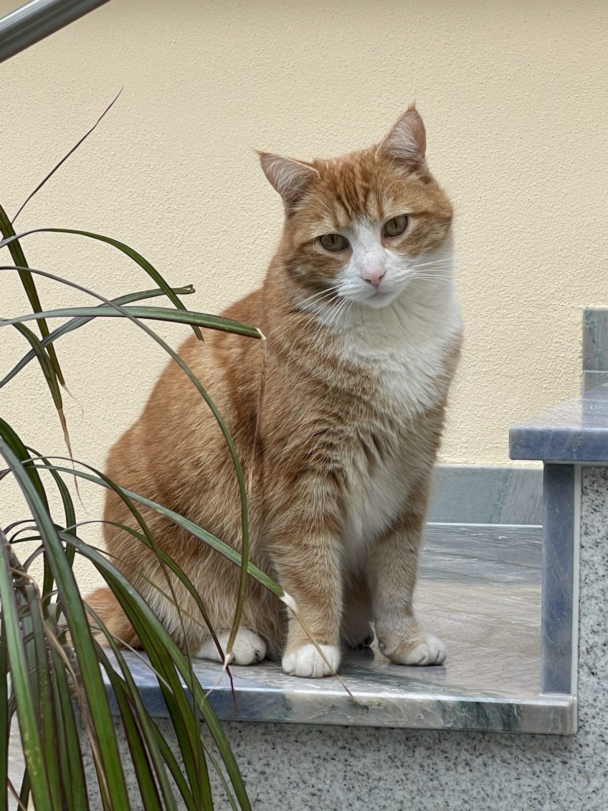 41CEDFBA-4F22-44D0-B0B1-58B7DC25F045