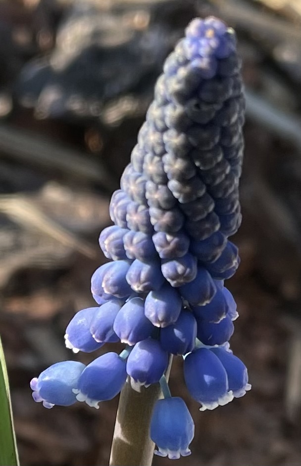 41E67909-CC6B-425F-832F-ED2B6D686797