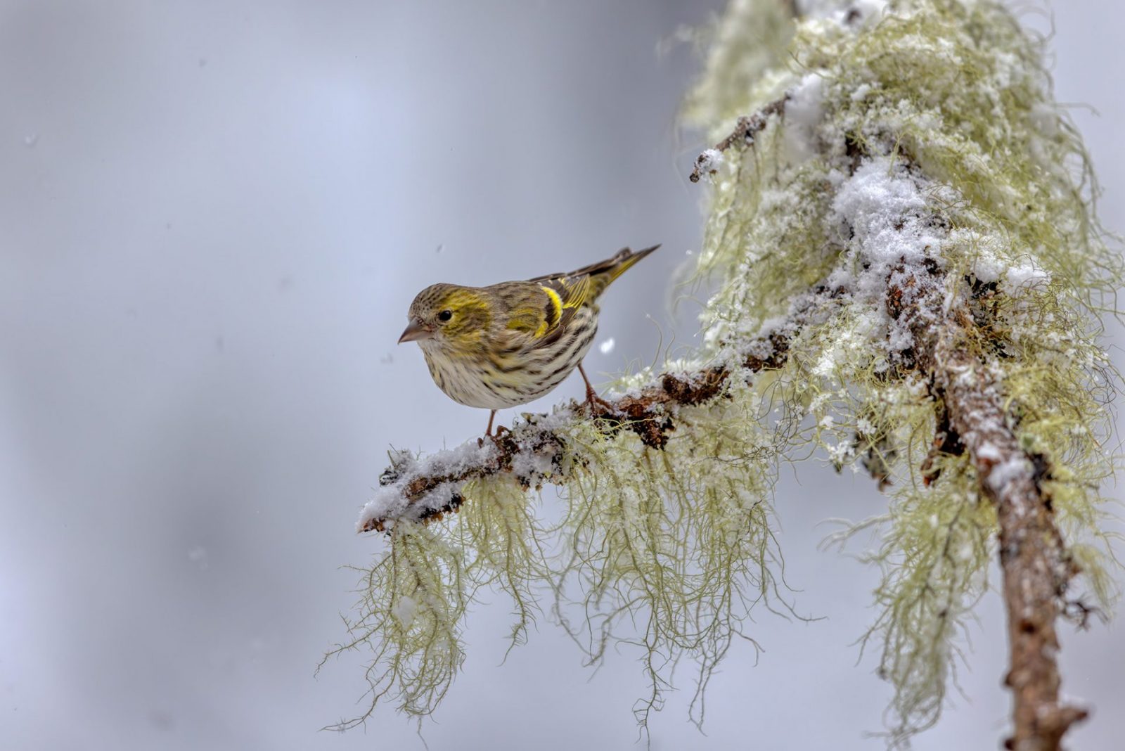 420128653_900156751749033_2610496297987803842_n