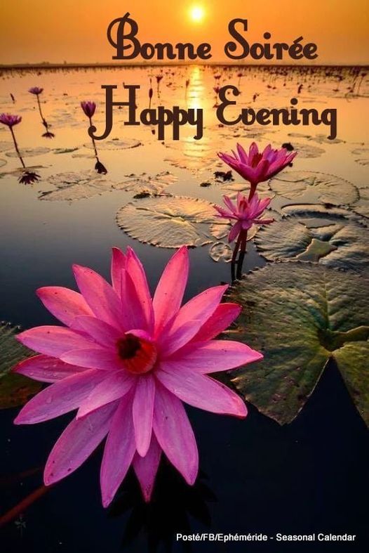 420168598_817302903765347_9045917330782694287_n