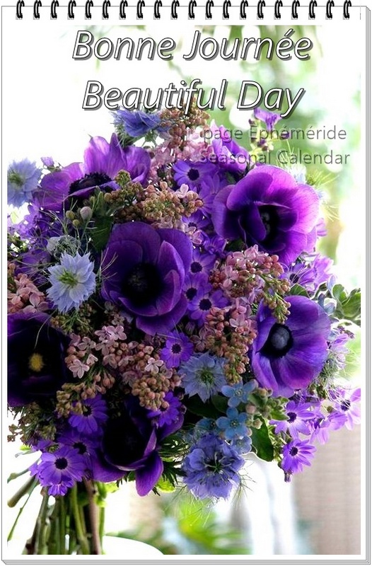 420199477_817856020376702_9136018717775140765_n