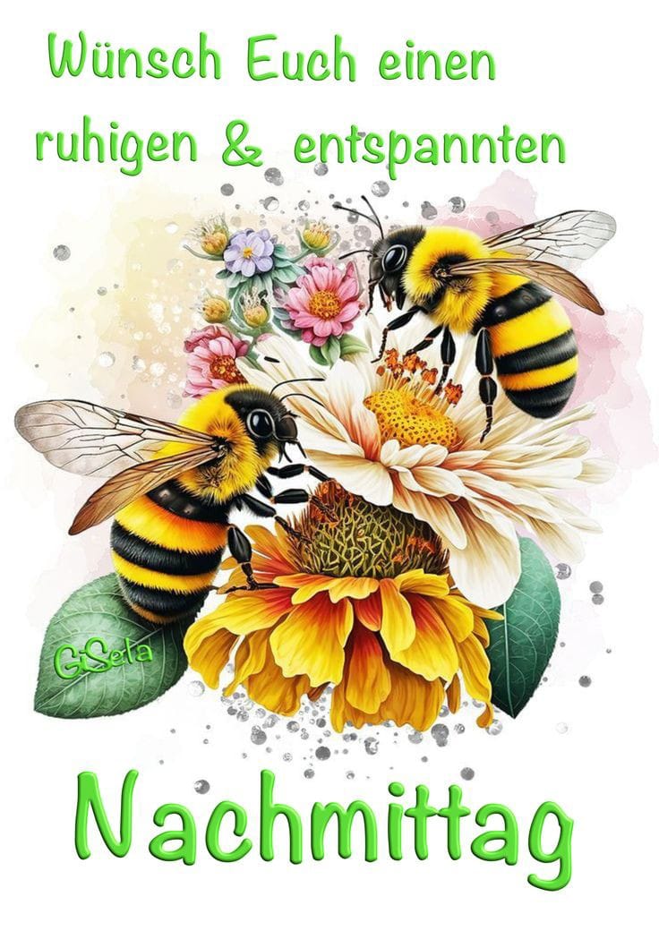 420224705_1072657837139655_346490012176013322_n (1)