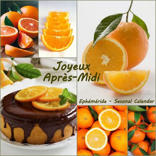 420418999_841888511306786_4646127251512629682_n